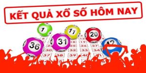 Xổ số Bingo