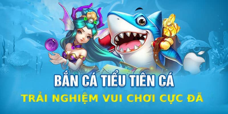 Tham gia săn cá Tiểu Tiên tại nền tảng